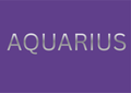Aquarius Zodiac T-Shirt
