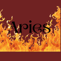 Aries Zodiac Canvas Pouch