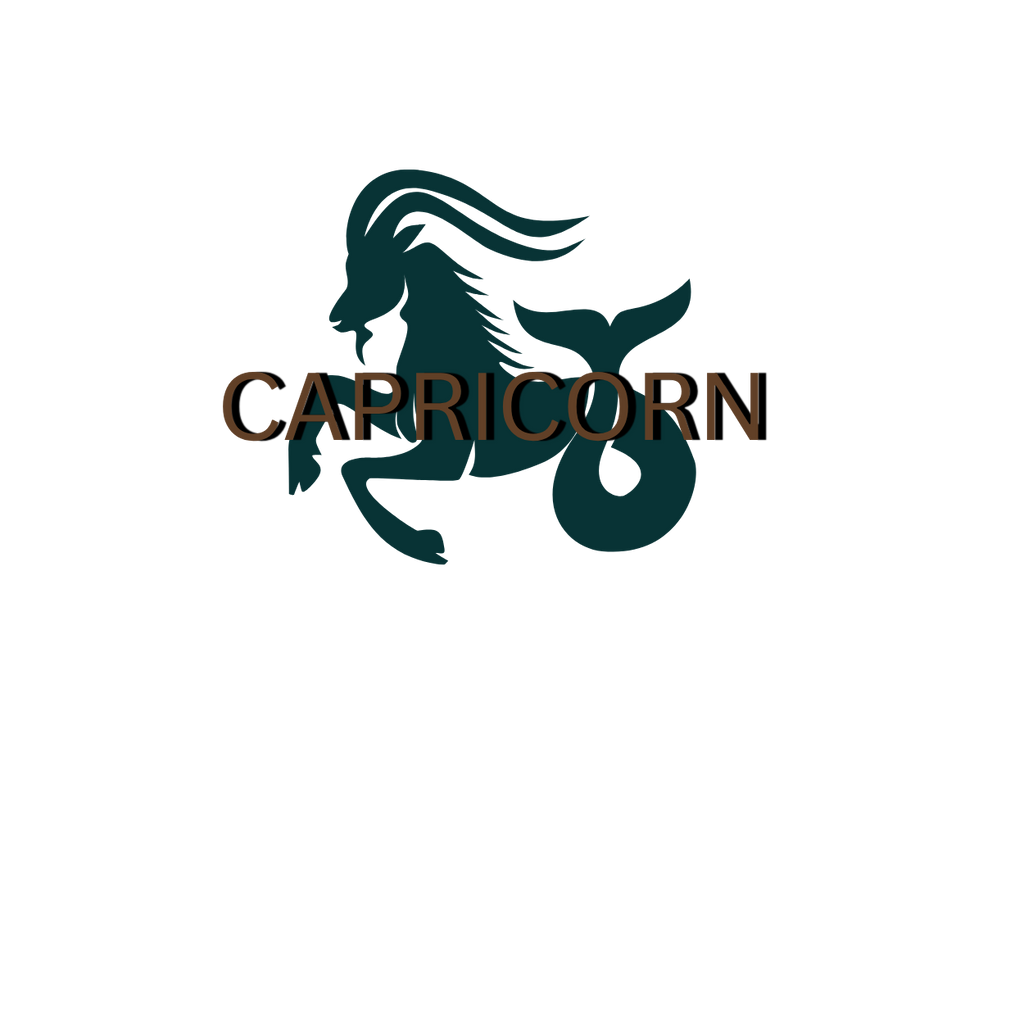 Capricorn Zodiac T-Shirt