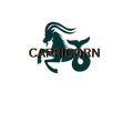 Capricorn Zodiac Canvas Pouch