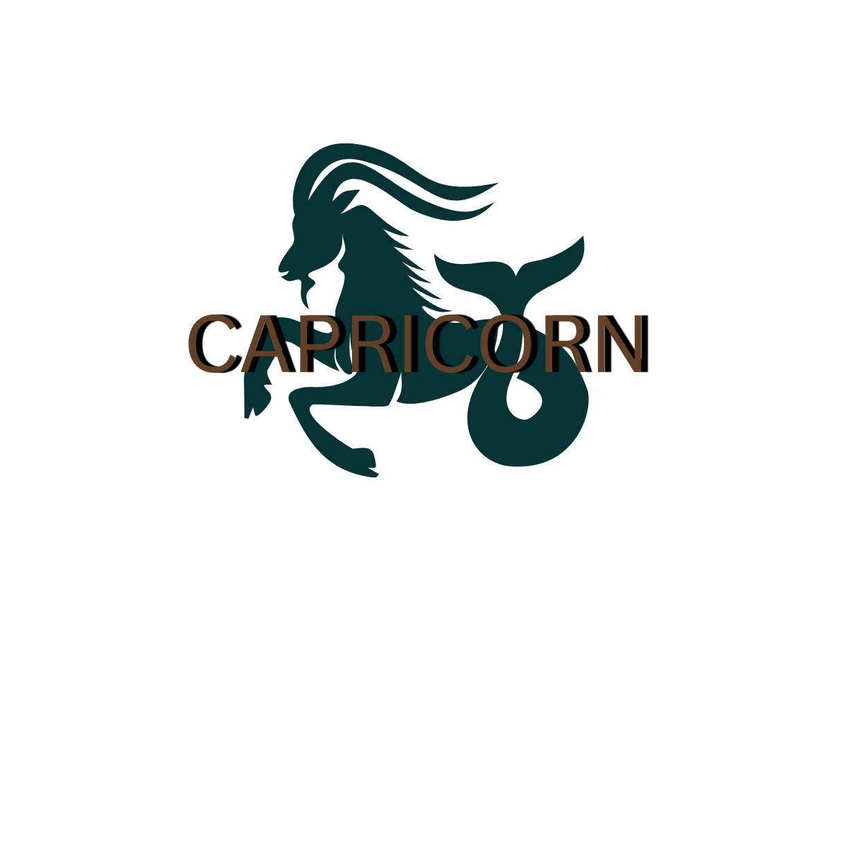 Capricorn Zodiac T-Shirt