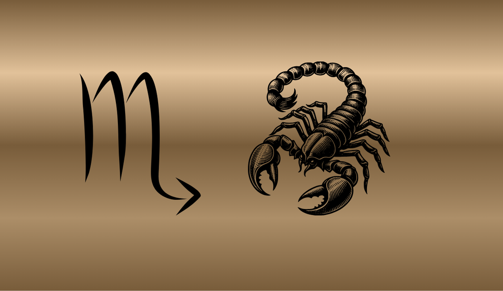 Scorpio Zodiac Canvas Pouch