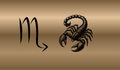 Scorpio Zodiac Canvas Pouch