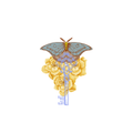 Victorian Butterfly Key T-Shirt