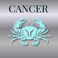 Cancer Zodiac Canvas Pouch