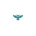 Owl Design